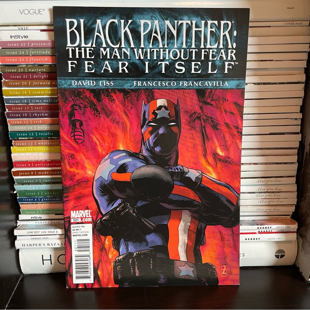 Black Panther: The Man Without Fear Issue 521
